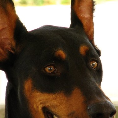 Charlie