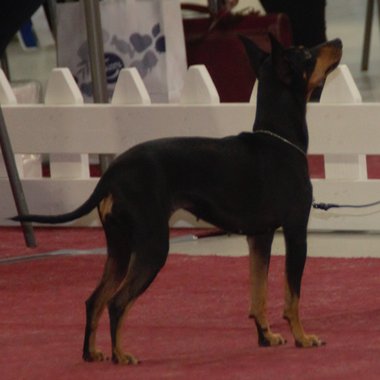Ruby