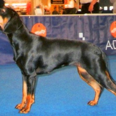 Max