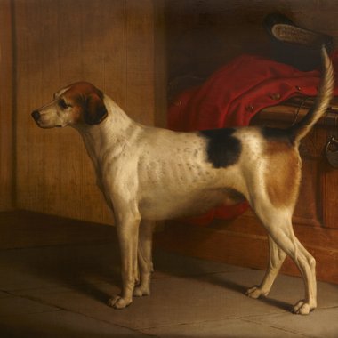 Oscar