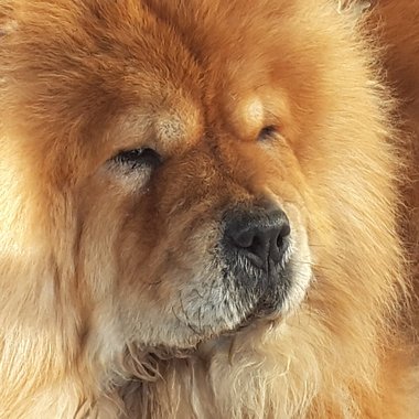Bailey