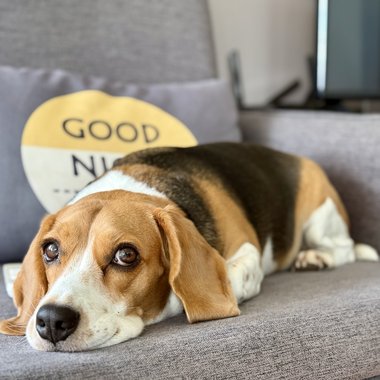 Max