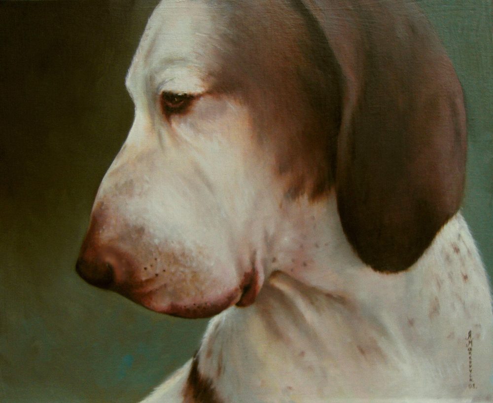 Bracco Italiano
