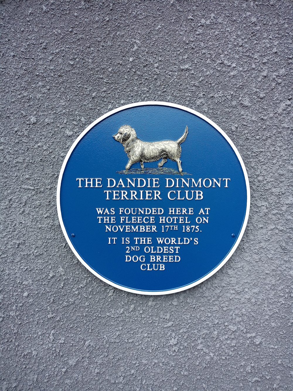 Dandie Dinmont Terrier
