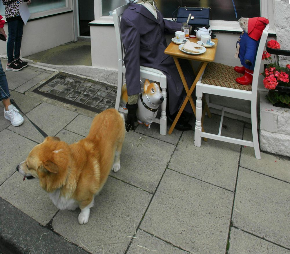 Welsh Corgi (Cardigan)